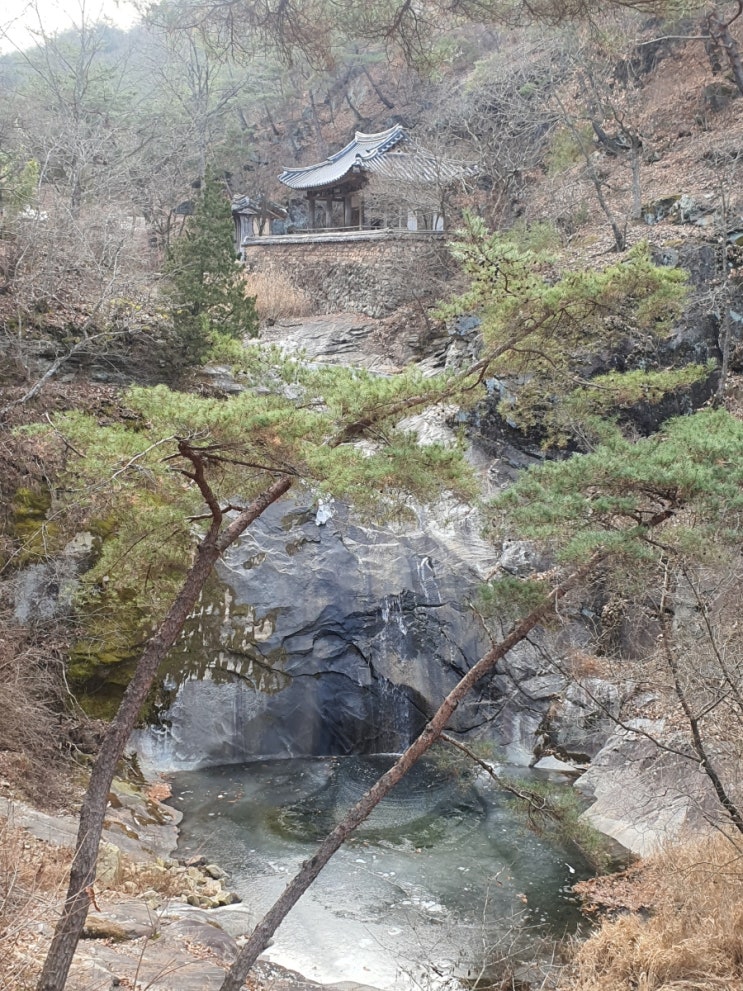 안동 만휴정 입장권무료  카페 만유정 여행코스