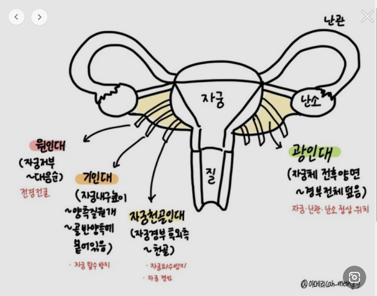 [모성간호학] 5일완성 1회, 2회 : 네이버 블로그