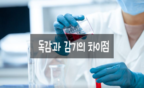  독감과 감기의 차이점