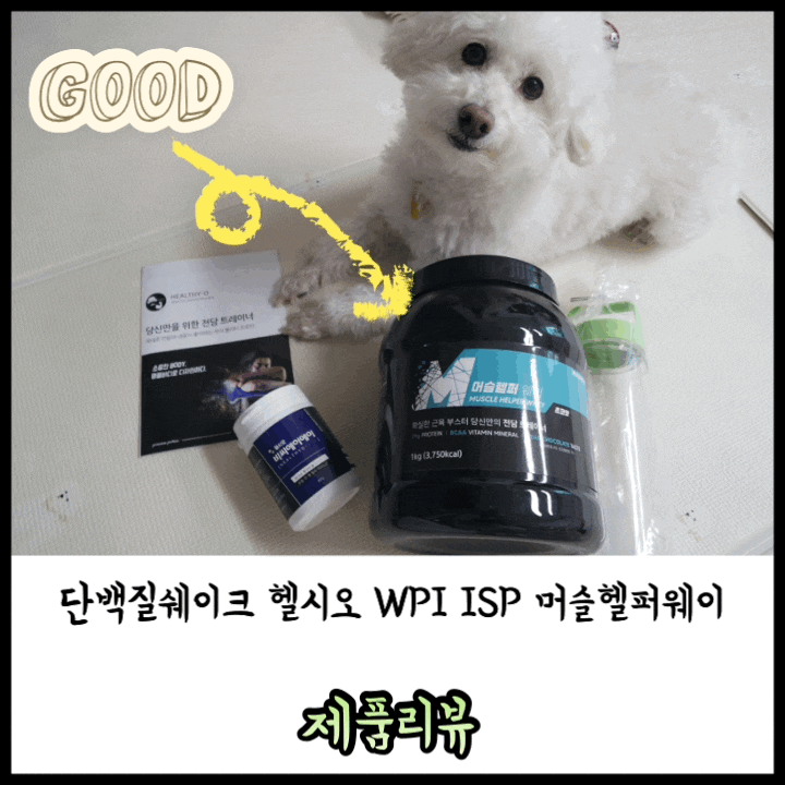 단백질쉐이크 헬시오 WPI ISP 머슬헬퍼웨이 근육증가