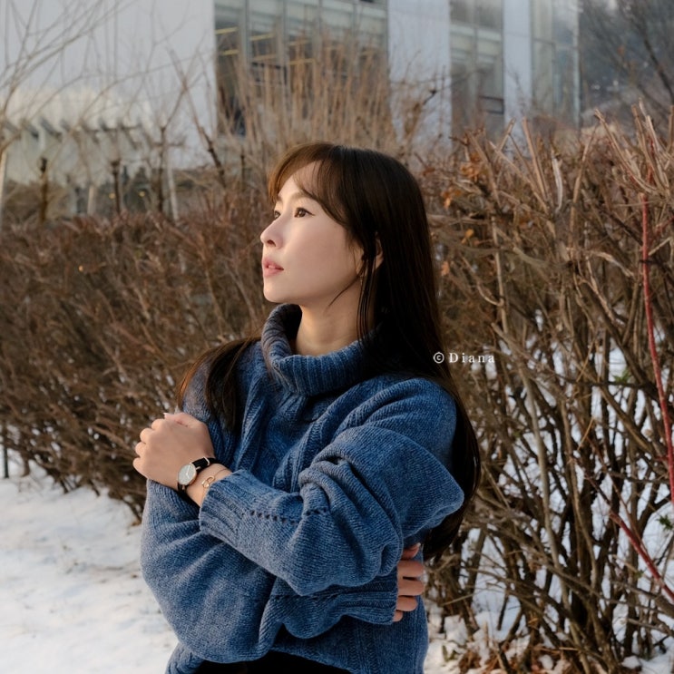 20대 여자 손목시계 추천 브랜드 다니엘 웰링턴 홀리데이 캠페인에 새해선물 준비 20대 여자 손목시계 추천 브랜드 다니엘 웰링턴 홀리데이 캠페인에 새해선물 준비