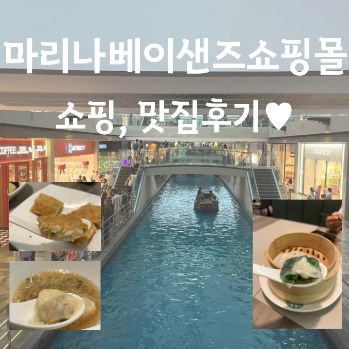  [마리나베이샌즈쇼핑몰] 쇼핑/ 맛집후기 - 팀호완? 딘타이펑?