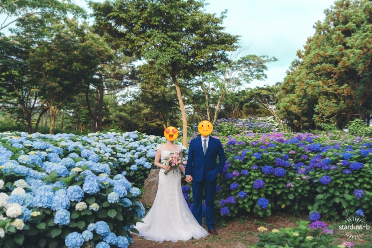  #주간일기- 12월 2주: 본식 사진 셀렉 (+제주 스냅사진 최종본 받기/ 결혼식 영상 확인)