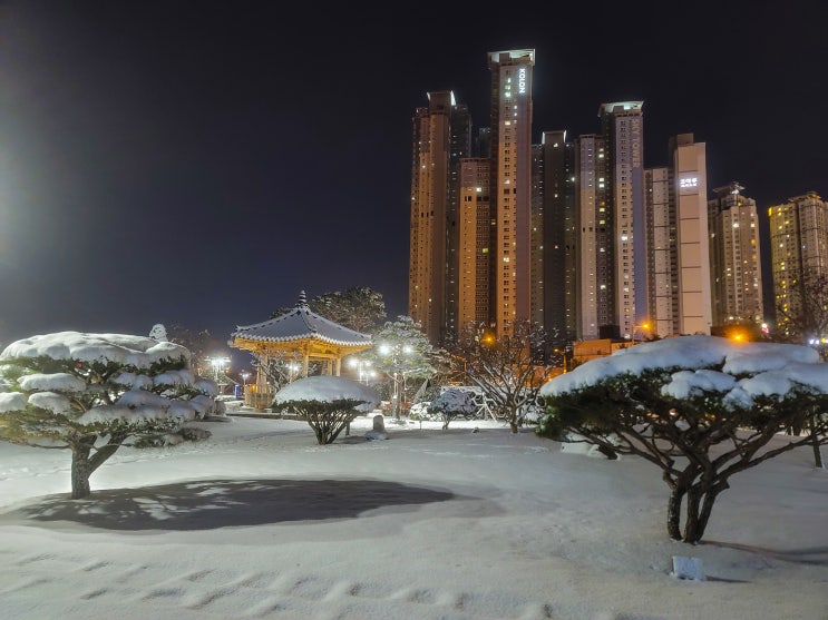 2022년 12월 17일 <b>폭설</b>이 내린 전주의 <b>퇴근길</b> 풍경과 강아지... 