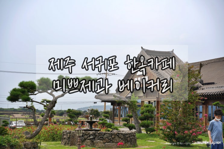  서귀포 한옥카페 제주 미쁘제과 베이커리