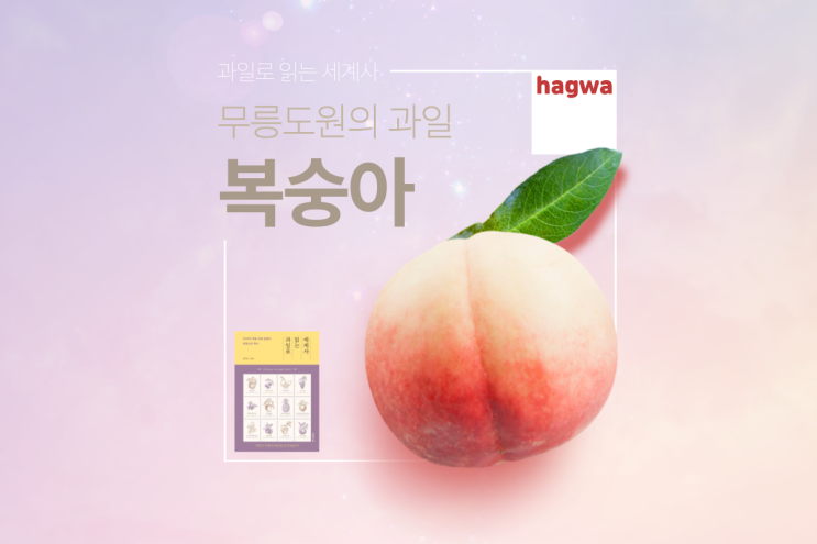  복숭아 돌고래 거북이 계란후라이