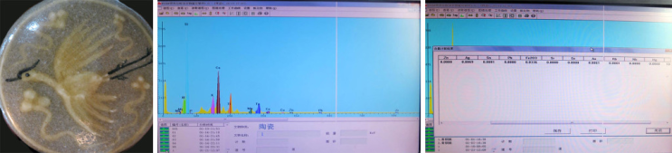 금화옹기金畫甕器에 대한 고찰考察 - 7편, 금화옹기金畫甕器 비밀 공개-유약에 금金을 용융溶融 하였다.