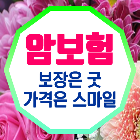  간편심사암보험 내용은 굿 가격은 스마일!