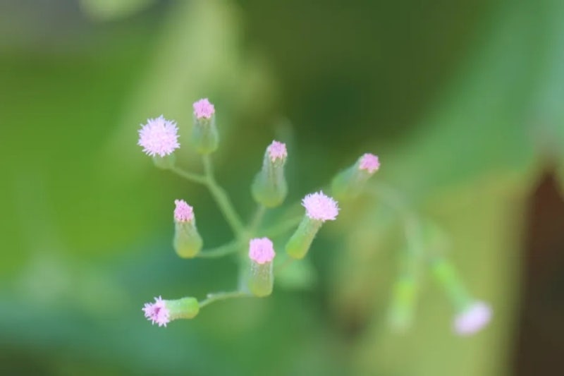 겨울노래, 다시 사랑한다면 김필 나이 가사 해석하기