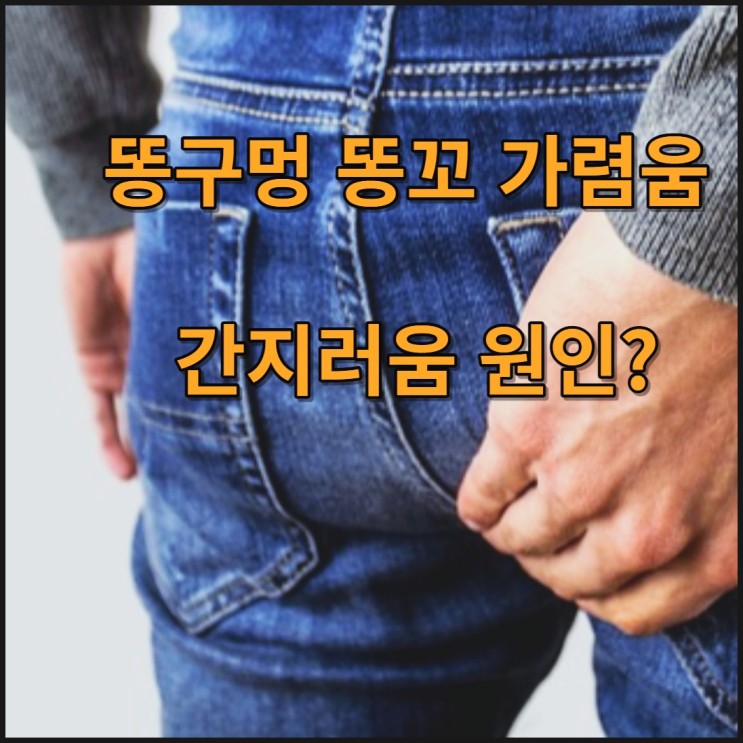 똥구멍 똥꼬 가려움 간지러움 원인 ft.항문소양증