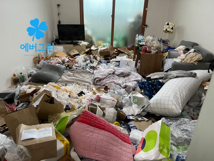 대전 서구 갈마동 쓰레기집청소 당일 작업과 우울증