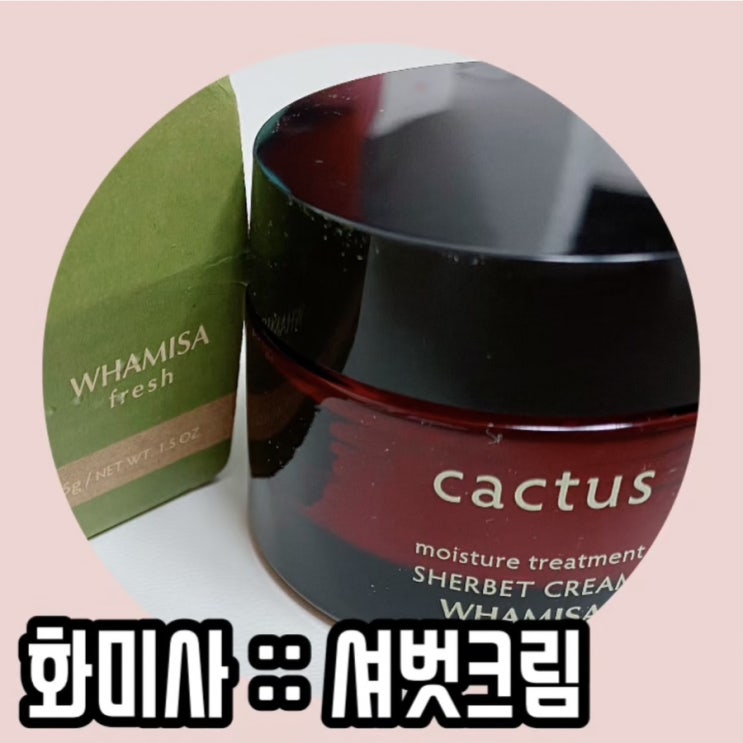  화미사:: 셔벗크림 천연 선인장 고보습 미백크림으로 관리해요