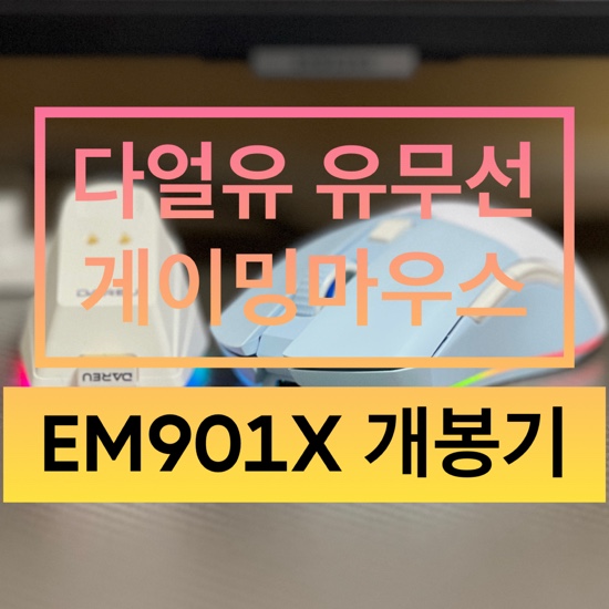  [내돈내산]가성비 좋은 다얼유 EM901X 게이밍 마우스 리뷰(ft. 충전독세트)