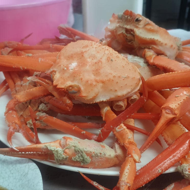  속초 아바이마을 맛집 승진호 홍게무한리필 내돈내산 찐맛집 후기