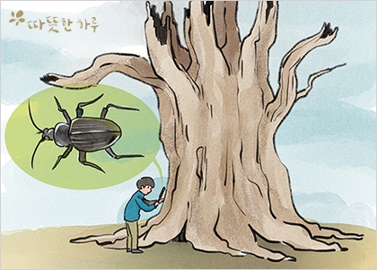 거목의 상처 거목의 상처
