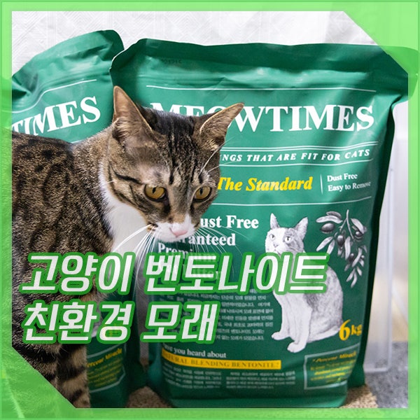 고양이 벤토나이트 모래 미우타임즈 정기구독할만한가?