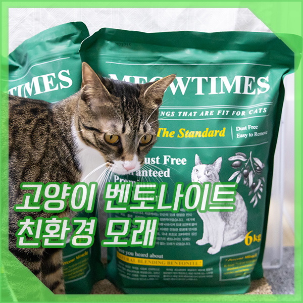  고양이 벤토나이트 모래 미우타임즈 정기구독할만한가?