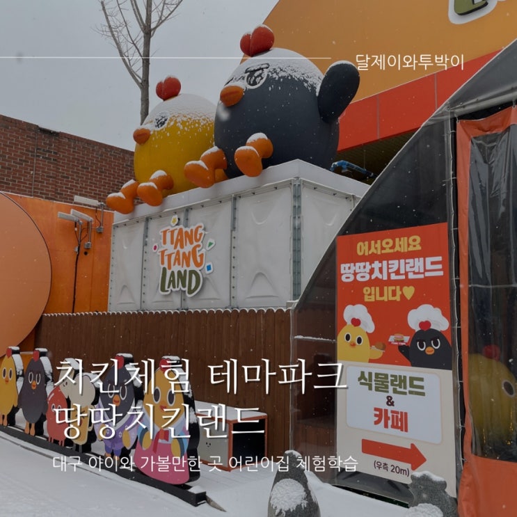  대구 아이와가볼만한 곳 : 치킨체험 테마파크 땅땅치킨랜드 어린이집 현장학습으로 함께 체험했어요.