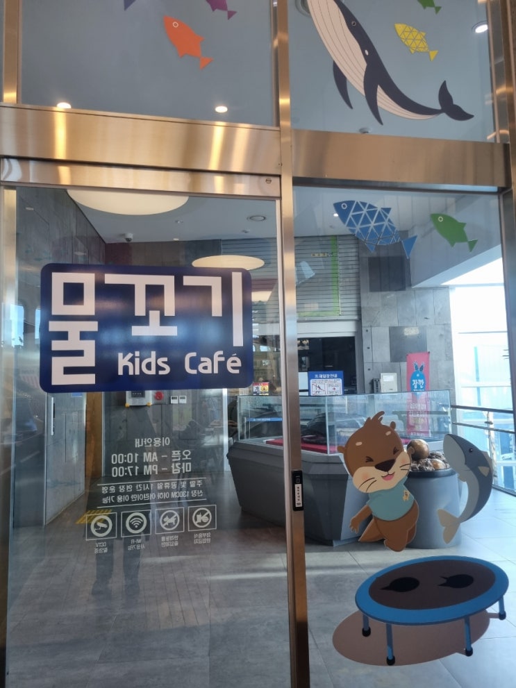  강릉 실내 아이들과 가볼만한 곳︎ 강릉키즈카페.경포아쿠아리움 물꼬기키즈카페