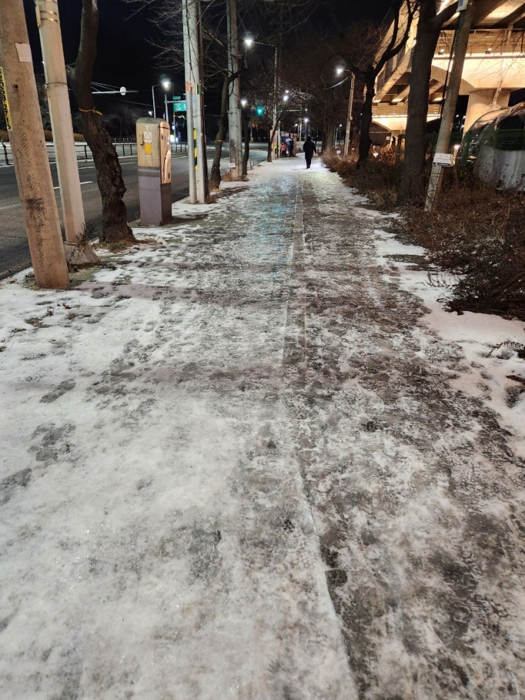  엘사만 걸을 수 있는 길