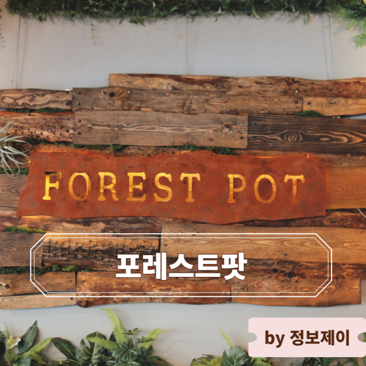  [일산 식사동 맛집] 식사동 글루텐프리 수제 화덕피자 포레스트팟