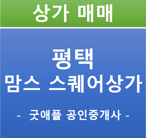 평택 동문굿모닝힐 맘스스퀘어 맘시티, 수익률 좋은 상가 매매