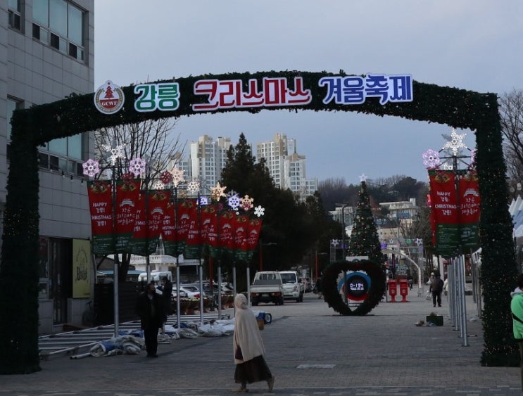  강원도 겨울강릉여행 12월가볼만한곳 월화거리