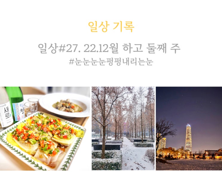  일상, 진짜 눈 엄청나게 내리네. 발에 채이는게 눈.