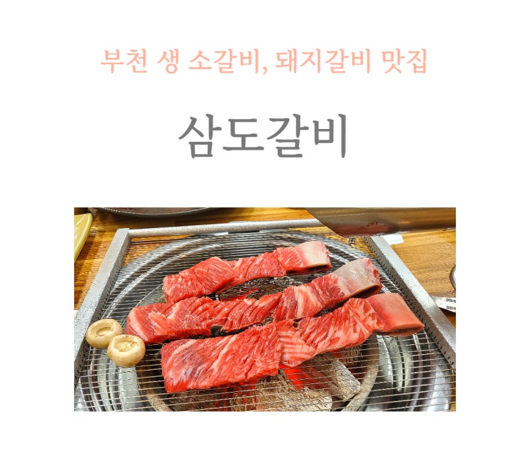  부천 맛집 삼도갈비, 모임 하기 좋은 식당 내돈내산