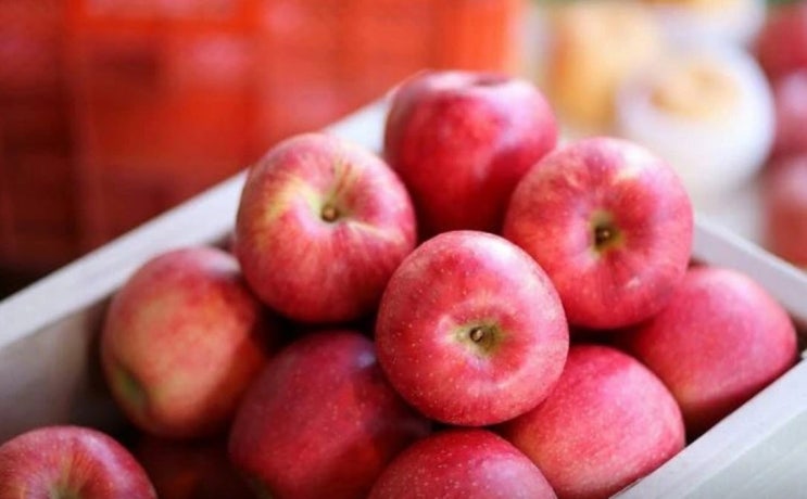 사과초모식초 효능 - 아침 금 사과 챙기시나요?