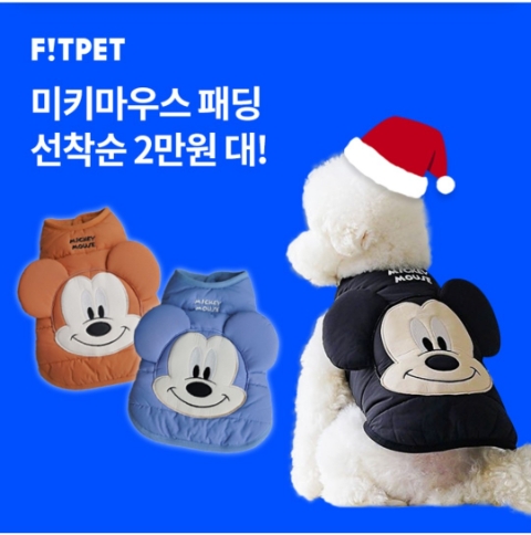  12월 22일 OK캐쉬백 오퀴즈 핏펫 정답