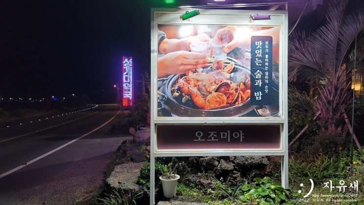  제주도 성산 맛집 오조미야 성산일출봉 근처 해물탕 맛집