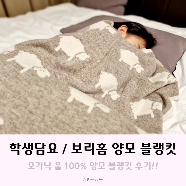 학생담요 : 보리홈 I.VORY 유기농 천연 양모 블랭킷 후기 학생담요 : 보리홈 I.VORY 유기농 천연 양모 블랭킷 후기