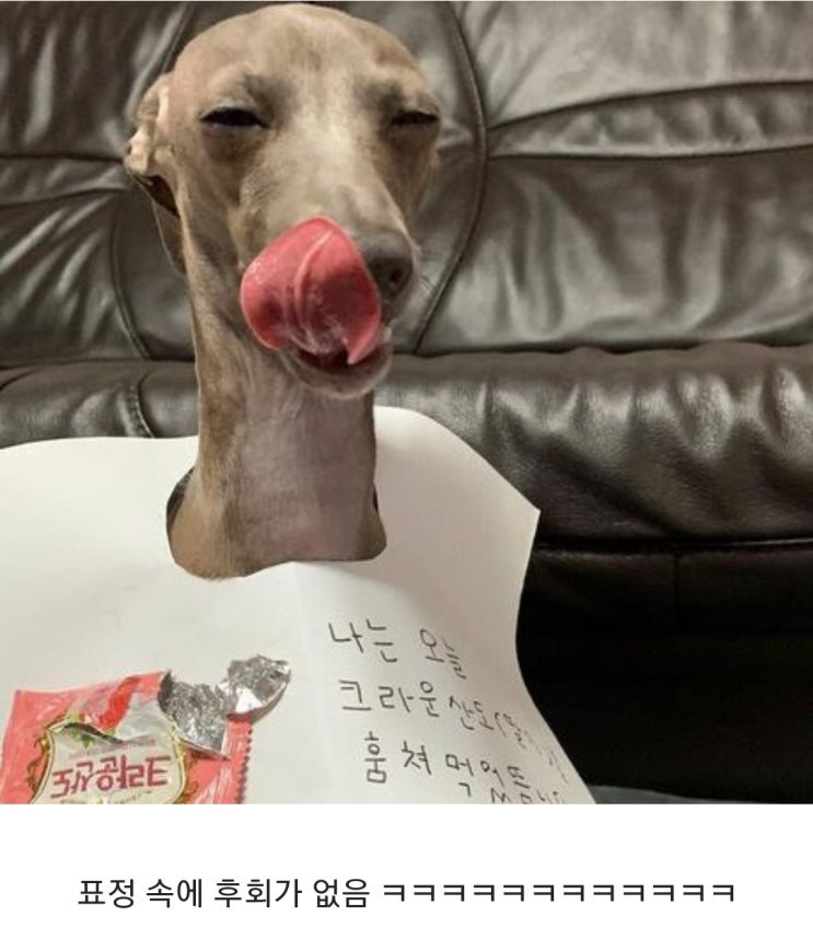  INU GB 캠프 기록-1일차
