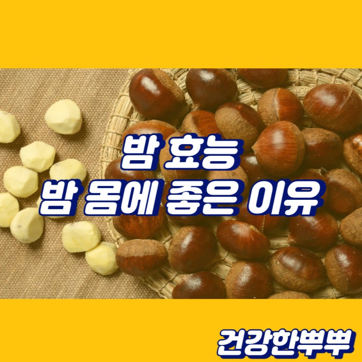  밤 효능 밤 몸에 좋은 이유 밤 효과 확인하세요