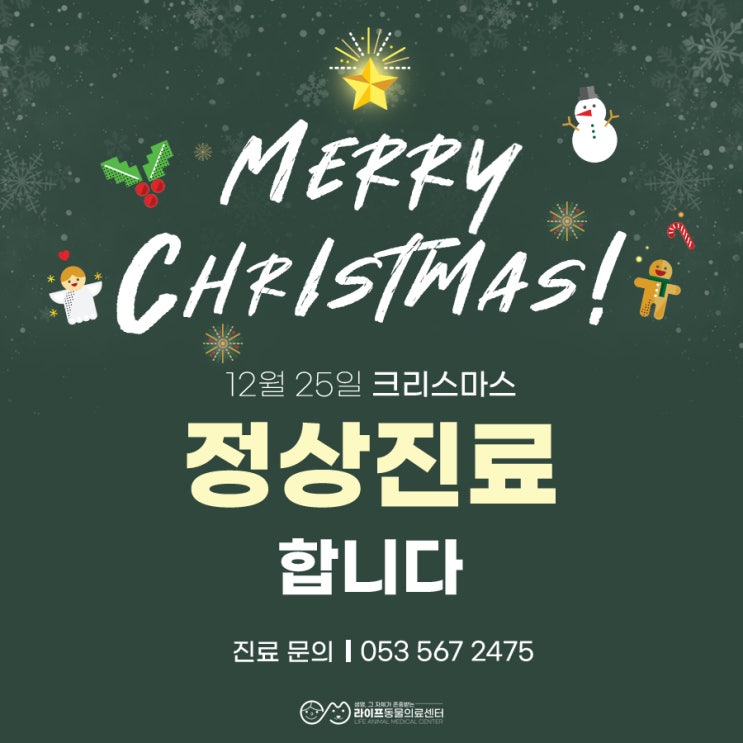 대구 크리스마스 동물병원 : 24시정상진료 및 야간진료 안내 라이프동물의료센터 대구 크리스마스 동물병원 : 24시정상진료 및 야간진료 안내 라이프동물의료센터