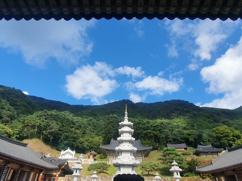 경북 봉화군 축서사 템플스테이 후기 (1) 축서사 가는법 사찰 구조 : 네이버 블로그