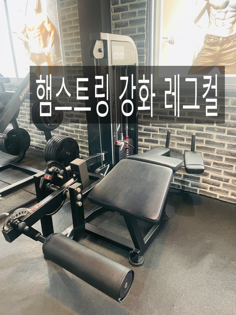 햄스트링 강화 하체운동 레그컬 이렇게 하세요 : 네이버 블로그 햄스트링 강화 하체운동 레그컬 이렇게 하세요 : 네이버 블로그
