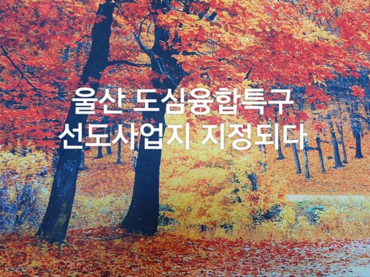  울산  도심융합특구 선도사업지 지정되다