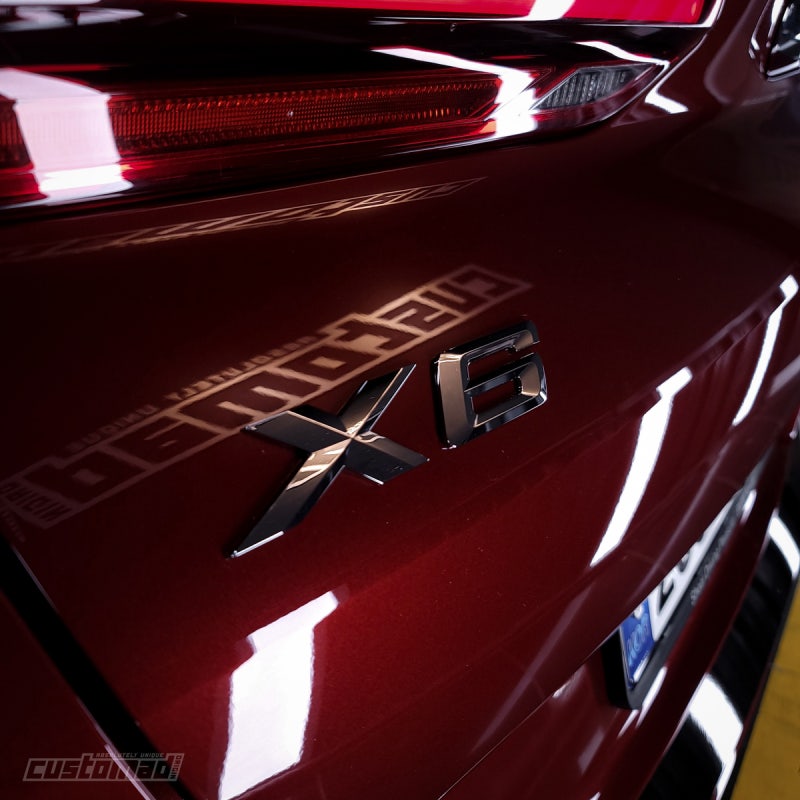 부산시 기장군 / 실내커스텀/염색 / BMW / X6