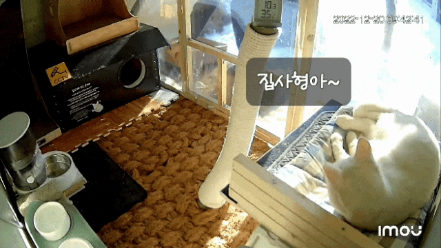  날씨가 미쳤어요 ㅜ.ㅜ 하지만 쉼터는 무사합니다! : 유기묘옥수