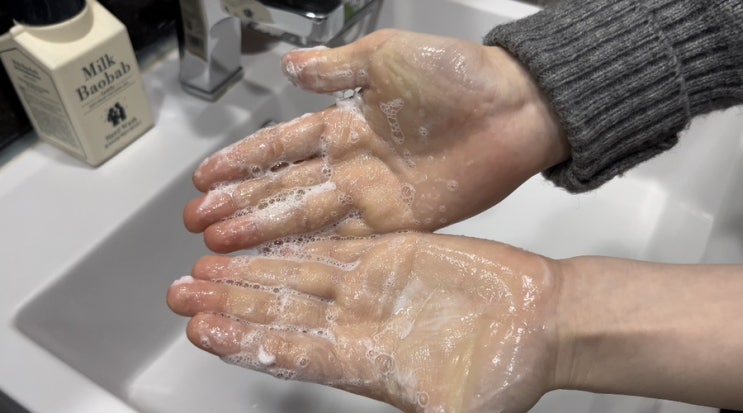 제나벨 클렌징폼 일주일 사용후기 : 트러블 케어에 도움을 주는 약산성 클렌징폼 추천
