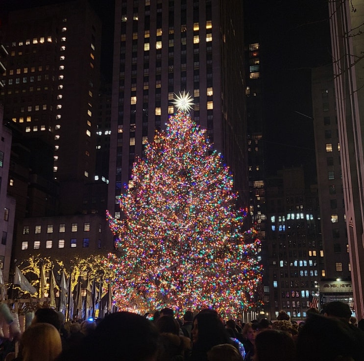 미국 가족여행 9-3 &lt;뉴욕&gt; - 뉴욕의 크리스마스