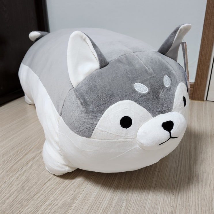  카카오톡 선물하기 시바스키 바디필로우 만족 후기⁽⁽٩(๑˃ᗨ˂)۶⁾⁾