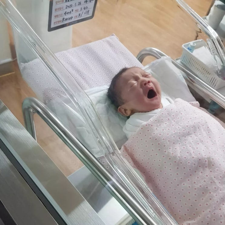  (나의 난임 이야기) 새벽기도, 작정기도