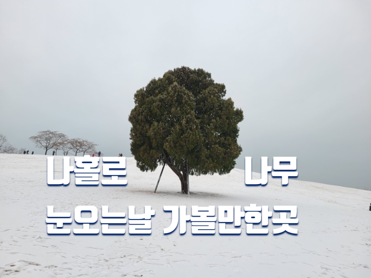 눈오는날 가볼만한곳 서울 올림픽공원 나홀로나무 가는길