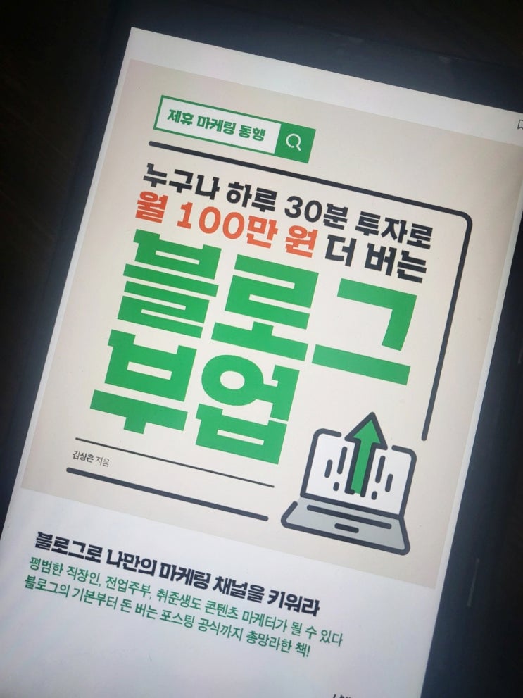  블로그 부업에 관한 책 월 100만 원 더 버는 블로그 부업