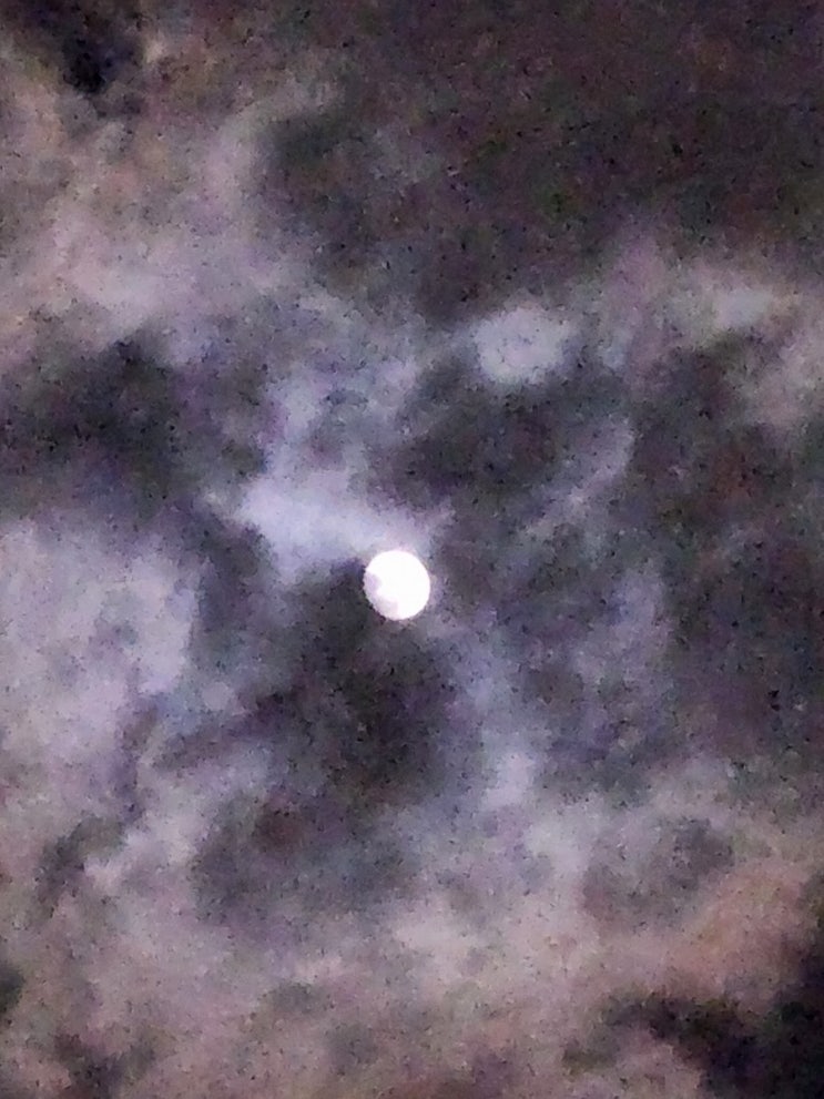 구름과 함께 움직이는 달