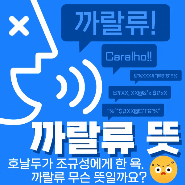  까랄류 뜻 심한 욕이네