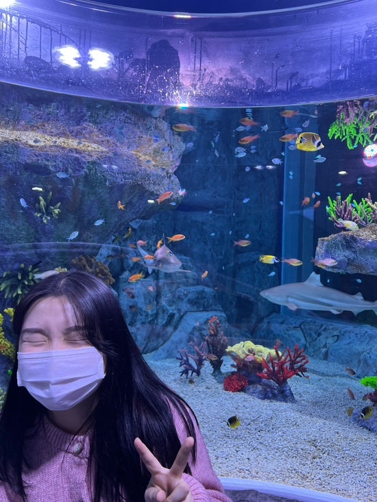  [부산 | 해운대] SEA LIFE 부산 아쿠아리움  | 부산 씨라이프 아쿠아리움 티켓 구매 꿀팁 / 아쿠아리움 공연 정보 / 부산 아쿠아리움 총 관람시간